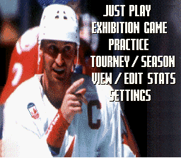 Wayne Gretzky and the NHLPA All-Stars Screenthot 2